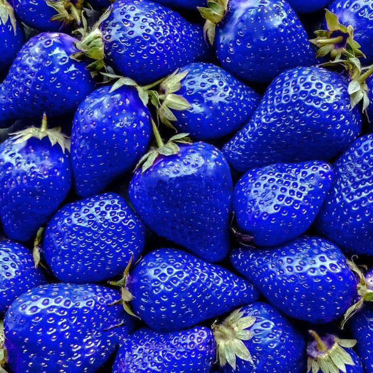 Berry Bounty: Freshness in Every Basket
